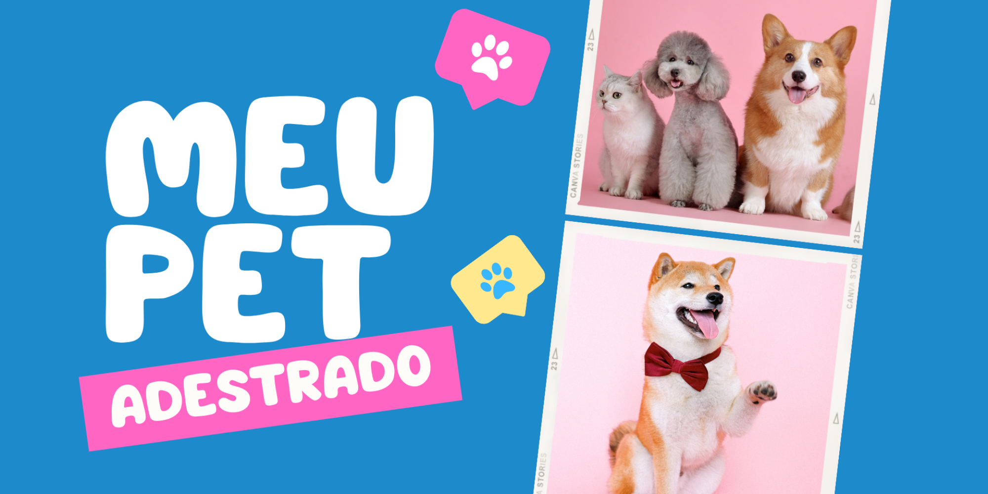 meu pet (1)